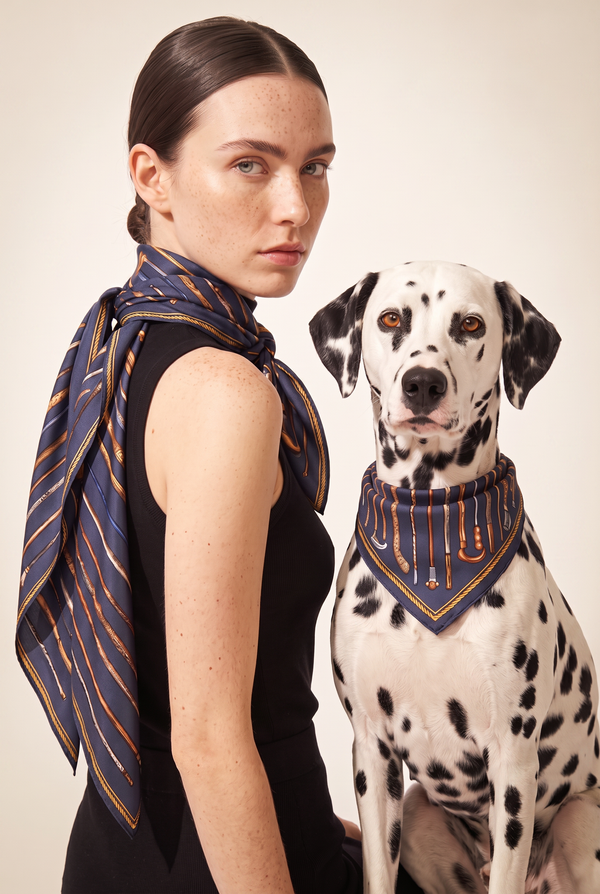 Seidentuch - Le Club Canin Navy