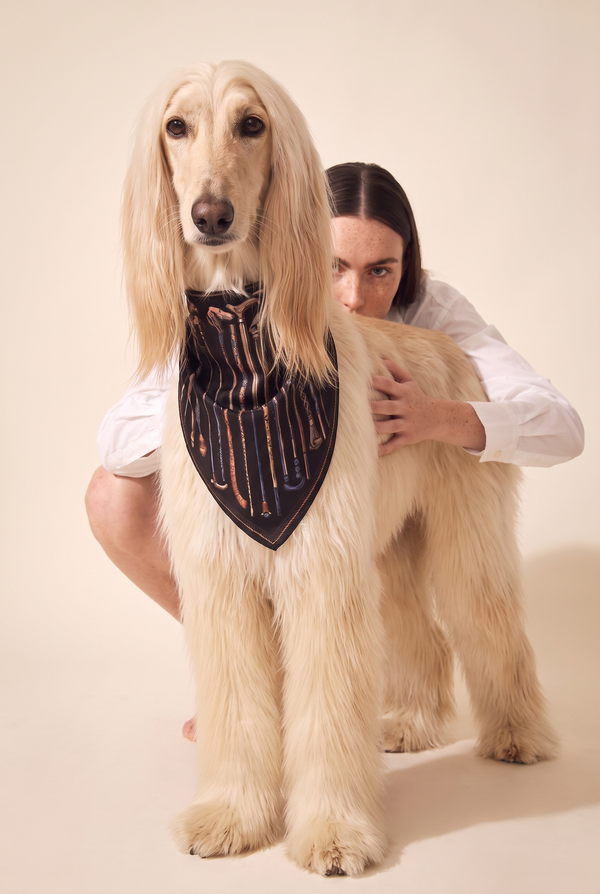 Seidentuch - Le Club Canin Black